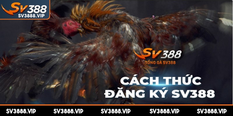 Nghiêm chỉnh thực hiện các nguyên tắc để tránh gặp sự cố khi đăng ký SV388