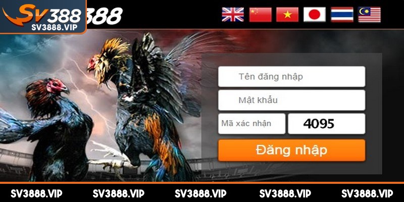 Tham gia cá cược đá gà SV388 đơn giản, tiện lợi với vài thao tấc